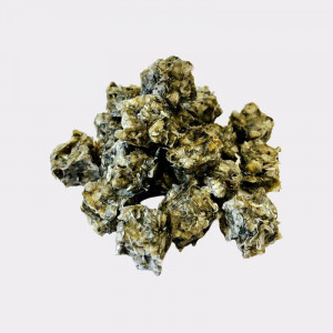 DF-P001